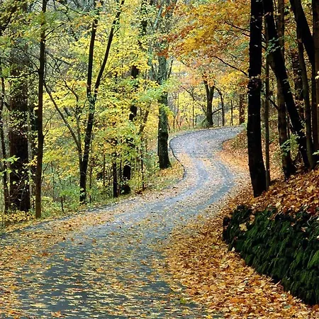 Puerta Trujillo * Plasencia