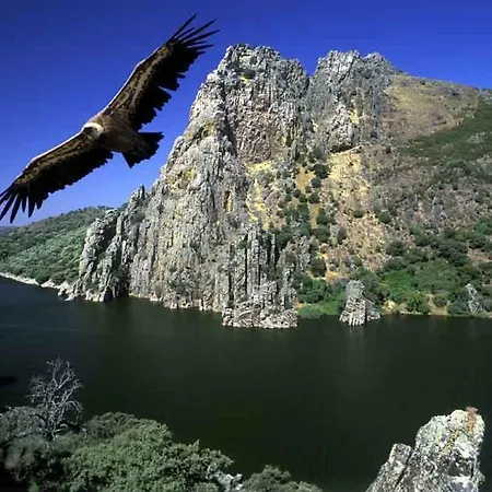 Puerta Trujillo Plasencia