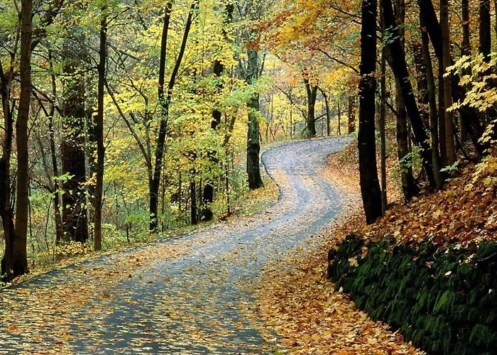 Puerta Trujillo * Plasencia