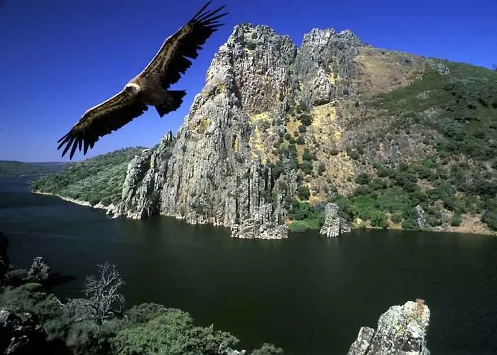 Puerta Trujillo Plasencia